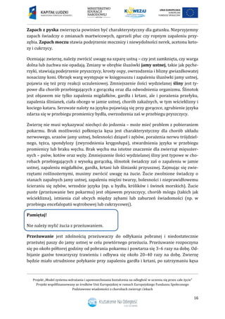 Projekt „Model systemu wdrażania i upowszechniania kształcenia na odległość w uczeniu się przez całe życie”
Projekt współfinansowany ze środków Unii Europejskiej w ramach Europejskiego Funduszu Społecznego
Podstawowe wiadomości o chorobach zwierząt i lekach
16
Zapach z pyska zwierzęcia powinien być charakterystyczny dla gatunku. Nieprzyjemny
zapach świadczy o zmianach martwicowych, zgorzeli płuc czy ropnym zapaleniu przy-
zębia. Zapach moczu stawia podejrzenie mocznicy i niewydolności nerek, acetonu keto-
zy i cukrzycy.
Oceniając zwierzę, należy zwrócić uwagę na szparę ustną – czy jest zamknięta, czy warga
dolna lub żuchwa nie opadają. Zmiany w obrębie śluzówki jamy ustnej, takie jak pęche-
rzyki, stawiają podejrzenie pryszczycy, krosty ospy, owrzodzenia i blizny gwiazdkowatej
nosacizny koni. Obrzęk warg występuje w księgosuszu i zapaleniu śluzówki jamy ustnej,
pojawia się też przy reakcji uczuleniowej. Zmniejszenie ilości wydzielanej śliny jest ty-
powe dla chorób przebiegających z gorączką oraz dla odwodnienia organizmu. Ślinotok
jest objawem nie tylko zapalenia migdałków, gardła i krtani, ale i porażenia przełyku,
zapalenia ślinianek, ciała obcego w jamie ustnej, chorób zakaźnych, w tym wścieklizny i
kociego kataru. Serowate naloty na języku pojawiają się przy gorączce, zgrubienie języka
zdarza się w przebiegu promienicy bydła, owrzodzenia zaś w przebiegu pryszczycy.
Zwierzę nie musi wykazywać niechęci do jedzenia – może mieć problem z pobieraniem
pokarmu. Brak możliwości połknięcia kęsa jest charakterystyczny dla chorób układu
nerwowego, urazów jamy ustnej, bolesności dziąseł i zębów, porażenia nerwu trójdziel-
nego, tężca, spondylozy (zwyrodnienia kręgosłupa), stwardnienia języka w przebiegu
promienicy lub braku węchu. Brak węchu ma istotne znaczenie dla zwierząt mięsożer-
nych – psów, kotów oraz węży. Zmniejszenie ilości wydzielanej śliny jest typowe w cho-
robach przebiegających z wysoką gorączką, ślinotok świadczy zaś o zapaleniu w jamie
ustnej, zapaleniu migdałków, gardła, krtani lub ślinianki przyusznej. Zajmując się zwie-
rzętami roślinożernymi, musimy zwrócić uwagę na żucie. Żucie zwolnione świadczy o
stanach zapalnych jamy ustnej, zapaleniu mięśni twarzy, bolesności i nieprawidłowemu
ścieraniu się zębów, wrzodzie języka (np. u bydła, królików i świnek morskich). Żucie
puste (przeżuwanie bez pokarmu) jest objawem pryszczycy, chorób mózgu (takich jak
wścieklizna), istnienia ciał obcych między zębami lub zaburzeń świadomości (np. w
przebiegu encefalopatii wątrobowej lub cukrzycowej).
Pamiętaj!
Nie należy mylić żucia z przeżuwaniem.
Przeżuwanie jest zdolnością przeżuwaczy do odłykania pobranej i niedostatecznie
przeżutej paszy do jamy ustnej w celu powtórnego przeżucia. Przeżuwanie rozpoczyna
się po około półtorej godziny od pobrania pokarmu i powtarza się 3–6 razy na dobę. Od-
bijanie gazów towarzyszy trawieniu i odbywa się około 20–40 razy na dobę. Zwierzę
będzie miało utrudnione połykanie przy zapaleniu gardła i krtani, po zatrzymaniu kęsa
 