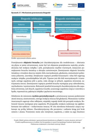 Projekt „Model systemu wdrażania i upowszechniania kształcenia na odległość w uczeniu się przez całe życie”
Projekt współfinansowany ze środków Unii Europejskiej w ramach Europejskiego Funduszu Społecznego
Podstawowe wiadomości o chorobach zwierząt i lekach
19
Rysunek 3.7. Mechanizm powstawania biegunki
Źródło: opracowanie własne autora
Powiększenie objętości brzucha jest charakterystyczne dla wodobrzusza – zbierania
się płynu w jamie otrzewnowej, może być też objawem powiększenia wątroby, przeła-
dowania lub wzdęcia żołądka i jelit, powiększenia węzłów trzewnych, miejscowe po-
większenie brzucha świadczy o obrzęku zastoinowym. Zmniejszenie objętości brzucha
świadczy o trwałym skurczu mięśni, bólu morzyskowym, głodzeniu, niemożności pobie-
rania pokarmu, anoreksji. Zwiększone napięcie powłok brzusznych i silny ból sugerują
wzdęcie żołądka, przedżołądków lub jelit. Typowe jest dla bóli morzyskowych i trzew-
nych, ostrego zapalenia jelit u psów, ciała obcego w jelitach, zapalenia otrzewnej, za-
trzymania moczu. Zmniejszenie napięcia powłok brzucha występuje przy odwodnieniu,
wychudzeniu i wyniszczeniu. Bolesność powłok brzusznych charakterystyczna dla zapa-
lenia otrzewnej, ciał obcych, zapalenia trzustki, urazowego zapalenia czepca i osierdzia u
bydła, ropomacicza, pęknięcia żołądka i pęcherza moczowego.
Osłabienie do zniesienia ruchów perystaltycznych u przeżuwaczy nasuwa podejrzenie
atonii żwacza, niestrawności, ostrego wzdęcia żwacza lub głodzenia. Wzmożenie ruchów
żwaczowych sugeruje silne odbijanie, niepokój, napady kolek lub początek wzdęcia. Bo-
lesność żwacza występuje przy zapaleniu. W przypadku wzdęcia wykonuje się zgłębni-
kowanie lub nakłucie – trokarowanie żwacza. W celu określenia bolesności czepca wy-
konuje się próby bólowe. Charakterystyczny dla porażenia i zatkania ksiąg jest brak
szmeru i atonia. Trawieniec może ulec nieżytowi, zapaleniu, a także na jego śluzówce
Biegunki infekcyjne
Bakterie
E.Coli Salmonella
Campylobacter
Enterotoksyny
Hipersekrecja
nadmierne wydzielanie
wody do światła jelita
BIEGUNKA SEKRECYJNA
Wirusy
Koronawirus
parwowirus rotawirus
Biegunki nieinfekcyjne
Niedobór enzymów trawiennych
amylaza, disacharydaza,
trypsyna, lipaza
Zespół upośledzonego
wchłaniania
BIEGUNKA OSMOTYCZNA
 