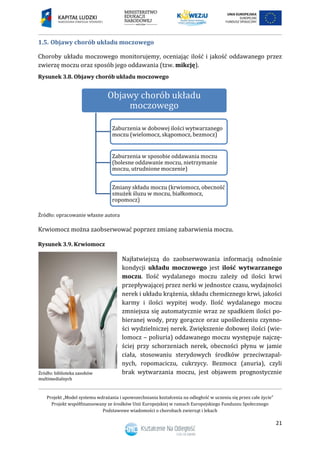 Projekt „Model systemu wdrażania i upowszechniania kształcenia na odległość w uczeniu się przez całe życie”
Projekt współfinansowany ze środków Unii Europejskiej w ramach Europejskiego Funduszu Społecznego
Podstawowe wiadomości o chorobach zwierząt i lekach
21
1.5. Objawy chorób układu moczowego
Choroby układu moczowego monitorujemy, oceniając ilość i jakość oddawanego przez
zwierzę moczu oraz sposób jego oddawania (tzw. mikcję).
Rysunek 3.8. Objawy chorób układu moczowego
Źródło: opracowanie własne autora
Krwiomocz można zaobserwować poprzez zmianę zabarwienia moczu.
Rysunek 3.9. Krwiomocz
Najłatwiejszą do zaobserwowania informacją odnośnie
kondycji układu moczowego jest ilość wytwarzanego
moczu. Ilość wydalanego moczu zależy od ilości krwi
przepływającej przez nerki w jednostce czasu, wydajności
nerek i układu krążenia, składu chemicznego krwi, jakości
karmy i ilości wypitej wody. Ilość wydalanego moczu
zmniejsza się automatycznie wraz ze spadkiem ilości po-
bieranej wody, przy gorączce oraz upośledzeniu czynno-
ści wydzielniczej nerek. Zwiększenie dobowej ilości (wie-
lomocz – poliuria) oddawanego moczu występuje najczę-
ściej przy schorzeniach nerek, obecności płynu w jamie
ciała, stosowaniu sterydowych środków przeciwzapal-
nych, ropomaciczu, cukrzycy. Bezmocz (anuria), czyli
brak wytwarzania moczu, jest objawem prognostycznie
Objawy chorób układu
moczowego
Zaburzenia w dobowej ilości wytwarzanego
moczu (wielomocz, skąpomocz, bezmocz)
Zaburzenia w sposobie oddawania moczu
(bolesne oddawanie moczu, nietrzymanie
moczu, utrudnione moczenie)
Zmiany składu moczu (krwiomocz, obecność
smużek śluzu w moczu, białkomocz,
ropomocz)
 