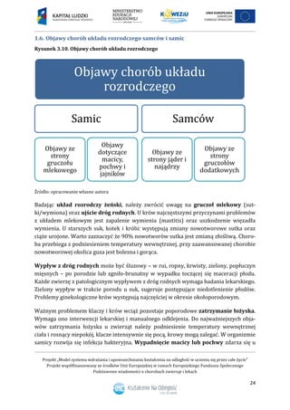 Projekt „Model systemu wdrażania i upowszechniania kształcenia na odległość w uczeniu się przez całe życie”
Projekt współfinansowany ze środków Unii Europejskiej w ramach Europejskiego Funduszu Społecznego
Podstawowe wiadomości o chorobach zwierząt i lekach
24
1.6. Objawy chorób układu rozrodczego samców i samic
Rysunek 3.10. Objawy chorób układu rozrodczego
Źródło: opracowanie własne autora
Badając układ rozrodczy żeński, należy zwrócić uwagę na gruczoł mlekowy (sut-
ki/wymiona) oraz ujście dróg rodnych. U krów najczęstszymi przyczynami problemów
z układem mlekowym jest zapalenie wymienia (mastitis) oraz uszkodzenie więzadła
wymienia. U starszych suk, kotek i królic występują zmiany nowotworowe sutka oraz
ciąże urojone. Warto zaznaczyć że 90% nowotworów sutka jest zmianą złośliwą. Choro-
ba przebiega z podniesieniem temperatury wewnętrznej, przy zaawansowanej chorobie
nowotworowej okolica guza jest bolesna i gorąca.
Wypływ z dróg rodnych może być śluzowy – w rui, ropny, krwisty, zielony, popłuczyn
mięsnych – po porodzie lub zgniło-brunatny w wypadku toczącej się maceracji płodu.
Każde zwierzę z patologicznym wypływem z dróg rodnych wymaga badania lekarskiego.
Zielony wypływ w trakcie porodu u suk, sugeruje postępujące niedotlenienie płodów.
Problemy ginekologiczne krów występują najczęściej w okresie okołoporodowym.
Ważnym problemem klaczy i krów wciąż pozostaje poporodowe zatrzymanie łożyska.
Wymaga ono interwencji lekarskiej i manualnego odklejenia. Do najważniejszych obja-
wów zatrzymania łożyska u zwierząt należy podniesienie temperatury wewnętrznej
ciała i rosnący niepokój, klacze intensywnie się pocą, krowy mogą zalegać. W organizmie
samicy rozwija się infekcja bakteryjna. Wypadnięcie macicy lub pochwy zdarza się u
Objawy chorób układu
rozrodczego
Samic
Objawy ze
strony
gruczołu
mlekowego
Objawy
dotyczące
macicy,
pochwy i
jajników
Samców
Objawy ze
strony jąder i
najądrzy
Objawy ze
strony
gruczołów
dodatkowych
 