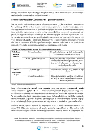 Projekt „Model systemu wdrażania i upowszechniania kształcenia na odległość w uczeniu się przez całe życie”
Projekt współfinansowany ze środków Unii Europejskiej w ramach Europejskiego Funduszu Społecznego
Podstawowe wiadomości o chorobach zwierząt i lekach
25
klaczy, krów i loch. Wypadniętą pochwę lub macicę łatwo zaobserwować, w celu repo-
zycji narządu konieczny jest zabieg operacyjny.
Ropomacicze/Zespół EPC (endometritis – pyometra complex)
Starsze samice zwierząt towarzyszących narażone są na ryzyko powstania ropomacicza.
W wyniku upośledzonych systemów obronnych organizmu w macicy zaczynają namna-
żać się patologiczne bakterie. W przypadku ropnych upławów w przebiegu choroby mo-
żemy mówić o pyometrze z otwartą szyjką macicy. Jeśli na sromie nie ma ropnego wy-
pływu, to szyjka macicy jest zamknięta. Do najważniejszych objawów ropomacicza nale-
żą: zwiększone pragnienie, wzrost ilości oddawanego moczu, powiększenie obrysu po-
włok brzusznych, apatia i anoreksja. Zachowawcze leczenie ropomacicza bywa trudne i
nie zawsze skuteczne. W Polsce preferowane jest leczenie radykalne przez ovariohiste-
rectomię. Pyometra zawsze stanowi zagrożenie dla życia zwierzęcia.
Tabela 3.4 Objawy chorób układu rozrodczego samców i samic
Układ roz-
rodczy
żeński
Gruczoł mlekowy Obrzęk, mlekotok, ropotok, zmiana poło-
żenia gruczołu mlekowego, guzy
Macica, pochwa i jajniki Wypływ z pochwy, niepłodność, wczesne
zamieranie zarodków, poronienia, mar-
twe porody, słabe noworodki, powięk-
szenie obrysu brzucha
Układ
rozrodczy
męski
Jądra i najądrza Niepłodność, obrzęk, guzy, obecność ży-
laków
Gruczoły dodatkowe Krwisty lub ropny wypływ z cewki mo-
czowej, utrudnione oddawanie moczu i
kału, niepłodność
Źródło: opracowanie własne autora
Przy badaniu układu rozrodczego samców zwracamy uwagę na napletek, ujście
cewki moczowej, jądra, obecność zmian wenerycznych. Najczęstszymi przypadło-
ściami dużych zwierząt jest wnętrostwo oraz rany prącia w wyniku krycia naturalnego.
W przypadku powstania ran prącia, prącie może być opuchnięte, na napletku zbiera się
krwisty obrąbek. Zapalenie napletka przebiegające z śmietanowatym ropnym wypły-
wem z ujścia napletkowego oraz nowotworowy rozrost prostaty jest typowy dla psów.
Badanie prostaty przeprowadza się palpacyjnie przez prostnicę oraz obrazowo za po-
mocą USG. Objawami zapalenia lub guzów prostaty są problemy z oddawaniem kału
oraz krwisty wypływ z cewki moczowej połączony z krwistą mikcją. Najczęstszym no-
 