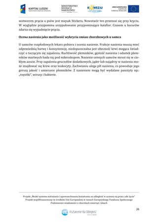 Projekt „Model systemu wdrażania i upowszechniania kształcenia na odległość w uczeniu się przez całe życie”
Projekt współfinansowany ze środków Unii Europejskiej w ramach Europejskiego Funduszu Społecznego
Podstawowe wiadomości o chorobach zwierząt i lekach
26
wotworem prącia u psów jest mięsak Stickera. Nowotwór ten przenosi się przy kryciu.
W wyglądzie przypomina uszypułowanie przypominające kalafior. Czasem u kocurów
zdarza się wypadnięcie prącia.
Ocena nasienia jako możliwość wykrycia zmian chorobowych u samca
U samców rozpłodowych lekarz pobiera i ocenia nasienie. Frakcje nasienia muszą mieć
odpowiednią barwę i konsystencję, niedopuszczalna jest obecność krwi mogąca świad-
czyć o toczącym się zapaleniu. Ruchliwość plemników, gęstość nasienia i odsetek plem-
ników martwych bada się pod mikroskopem. Nasienie cennych samców mrozi się w cie-
kłym azocie. Przy zapaleniu gruczołów dodatkowych, jąder lub najądrzy w nasieniu mo-
że znajdować się krew oraz leukocyty. Zachwianiu ulega pH nasienia, co powoduje jego
gorszą jakość i umieranie plemników. Z nasieniem mogą być wydalane pasożyty np.:
„rzęsitki”, wirusy i bakterie.
 