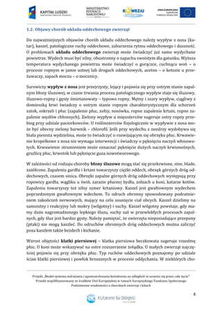Projekt „Model systemu wdrażania i upowszechniania kształcenia na odległość w uczeniu się przez całe życie”
Projekt współfinansowany ze środków Unii Europejskiej w ramach Europejskiego Funduszu Społecznego
Podstawowe wiadomości o chorobach zwierząt i lekach
8
1.2. Objawy chorób układu oddechowego zwierząt
Do najważniejszych objawów chorób układu oddechowego należy wypływ z nosa (ka-
tar), kaszel, patologiczne ruchy oddechowe, zaburzenia rytmu oddechowego i duszność.
O problemach układu oddechowego zwierząt może świadczyć już samo wydychane
powietrze. Wydech musi być silny, obustronny o zapachu swoistym dla gatunku. Wyższa
temperatura wydychanego powietrza może świadczyć o gorączce, cuchnąca woń – o
procesie ropnym w jamie ustnej lub drogach oddechowych, aceton – o ketozie u prze-
żuwaczy, zapach moczu – o mocznicy.
Surowiczy wypływ z nosa jest przejrzysty, lejący i pojawia się przy ostrym stanie zapal-
nym błony śluzowej, w czasie trwania procesu patologicznego wypływ staje się śluzowy,
śluzowo-ropny i gęsty śmietanowaty – typowo ropny. Mętny i szary wypływ, ciągliwy z
domieszką krwi świadczy o ostrym stanie ropnym charakterystycznym dla schorzeń
zatok, oskrzeli i płuc (zapalenie płuc, zołzy, nosówka, ropne zapalenie krtani, ropne za-
palenie węzłów chłonnych). Zielony wypływ u mięsożerców sugeruje ostry ropny prze-
bieg przy udziale paciorkowców. U roślinożerców fizjologicznie w wypływie z nosa mo-
że być obecny zielony barwnik – chlorofil. Jeśli przy wydechu z nozdrzy wydobywa się
biała pienista wydzielina, może to świadczyć o rozwijającym się obrzęku płuc. Krwawie-
nie kropelkowe z nosa nie wymaga interwencji i świadczy o pęknięciu naczyń włosowa-
tych. Krwawienie strumieniem może oznaczać pęknięcie dużych naczyń krwionośnych,
gruźlicę płuc, krwotok lub pęknięcie guza nowotworowego.
W zależności od rodzaju choroby błony śluzowe mogą stać się przekrwione, sine, blade,
zażółcone. Zapaleniu gardła i krtani towarzyszy ciężki oddech, obrzęk górnych dróg od-
dechowych, czasem sinica. Obrzęki zapalne górnych dróg oddechowych występują przy
ropowicy gardła, wągliku u świń, zarazie płucnej bydła, zołzach u koni, katarze kotów.
Zapaleniu towarzyszy też silny szmer krtaniowy. Kaszel jest gwałtownym wydechem
poprzedzonym gwałtownym wdechem. To odruch obronny spowodowany podrażnie-
niem zakończeń nerwowych, mający na celu usunięcie ciał obcych. Kaszel dzielimy na
samoistny i reakcyjny lub mokry (wilgotny) i suchy. Kaszel wilgotny powstaje, gdy ma-
my dużo nagromadzonego lepkiego śluzu, suchy zaś w przewlekłych procesach zapal-
nych, gdy śluz jest bardzo gęsty. Należy pamiętać, że zwierzęta nieposiadające przepony
(ptaki) nie mogą kaszleć. Do odruchów obronnych dróg oddechowych można zaliczyć
poza kaszlem także bezdech i kichanie.
Wzrost objętości klatki piersiowej – klatka piersiowa beczkowata sugeruje rozedmę
płuc. U koni może wskazywać na ostre rozszerzenie żołądka. U małych zwierząt najczę-
ściej pojawia się przy obrzęku płuc. Typ ruchów oddechowych poznajemy po udziale
ścian klatki piersiowej i powłok brzusznych w procesie oddychania. W niektórych cho-
 