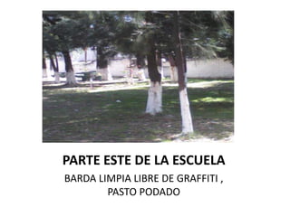 PARTE ESTE DE LA ESCUELA
BARDA LIMPIA LIBRE DE GRAFFITI ,
        PASTO PODADO
 