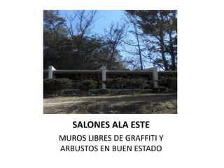 SALONES ALA ESTE
MUROS LIBRES DE GRAFFITI Y
ARBUSTOS EN BUEN ESTADO
 
