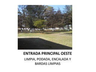 ENTRADA PRINCIPAL OESTE
LIMPIA, PODADA, ENCALADA Y
      BARDAS LIMPIAS
 
