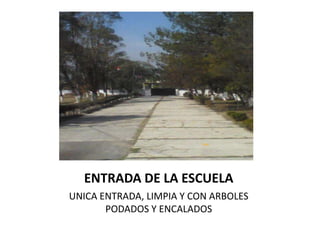 ENTRADA DE LA ESCUELA
UNICA ENTRADA, LIMPIA Y CON ARBOLES
       PODADOS Y ENCALADOS
 