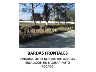 BARDAS FRONTALES
PINTADAS, LIBRES DE GRAFFITIS, ARBOLES
   ENCALADOS, SIN BASURA Y PASTO
               PODADO
 