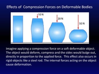 mechanical properties of soft tissues.ppt