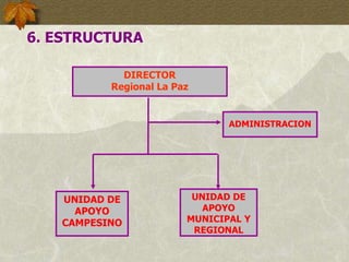6. ESTRUCTURA
DIRECTOR
Regional La Paz
UNIDAD DE
APOYO
MUNICIPAL Y
REGIONAL
UNIDAD DE
APOYO
CAMPESINO
ADMINISTRACION
 