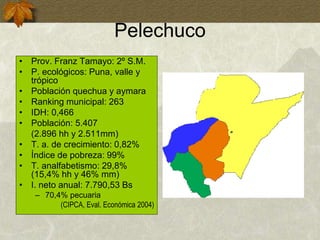 Pelechuco
• Prov. Franz Tamayo: 2º S.M.
• P. ecológicos: Puna, valle y
trópico
• Población quechua y aymara
• Ranking municipal: 263
• IDH: 0,466
• Población: 5.407
(2.896 hh y 2.511mm)
• T. a. de crecimiento: 0,82%
• Índice de pobreza: 99%
• T. analfabetismo: 29,8%
(15,4% hh y 46% mm)
• I. neto anual: 7.790,53 Bs
– 70,4% pecuaria
(CIPCA, Eval. Económica 2004)
 