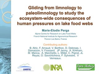 Gliding from limnology to
    paleolimnology to study the
 ecosystem-wide consequences of
human pressures on lake food webs
                  Marie-Elodie Perga
          Alpine Centre for Research on Lake Food Webs
         French National Institute for Agronomical Research
                     Thonon Les Bains, France


                   Contributing authors:
     B. Alric, F. Arnaud, V. Berthon, D. Debroas, I.
    Domaizon, V. Frossard, JP Jenny, A. Kirkham,
    M. Manca, A. Marchetto, L. Millet, C. Pignol, JL
       Reyss, O. Savichtcheva, F. Sylvestre, V
                        Verneaux.
 
