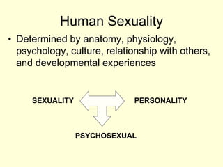 Human Sexuality
• Determined by anatomy, physiology,
psychology, culture, relationship with others,
and developmental experiences
SEXUALITY PERSONALITY
PSYCHOSEXUAL
 