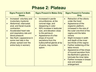Phase 2: Plateau
Signs Present in Both
Sexes
Signs Present In Males Only Signs Present In Females
Only
 Increased voluntary and
involuntary myotonia
 Abdominal, intercostal,
anal, and facial muscle
contraction
 Accelerated heart rate
and respiratory rate and
blood pressure
 Sex flush ( appearance in
some men late in the
phase; spread over the
entire body in women)
 Increased in penile
circumference, at the
coronal ridge, and
deepening in color
 50% increase in testicular
size, and elevation close
to the perineum
 Appearance of a few
drops of mucoid
secretions from the
bulbourethral glands at tip
of penis; may contain
sperm
 Retraction of the clitoris
under the hood
 Appearance of the
orgasmic platform,
increased in the size of
the outer one-third of the
vagina and the labia
minora
 Slight increase in width
and depth of the inner
two-thirds of the vagina
 Farther reddening of the
labia minora
 Appearance of few drops
of mucoid secretion from
the Bartholin’s glands to
lubricate the inner labia
 Farther increase in breast
size and areolar
enlargement
 