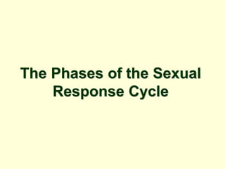 The Phases of the Sexual
Response Cycle
 
