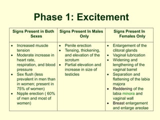 Phase 1: Excitement
Signs Present in Both
Sexes
Signs Present In Males
Only
Signs Present In
Females Only
 Increased muscle
tension
 Moderate increase in
heart rate,
respiration, and blood
pressure
 Sex flush (less
prevalent in men than
in women; present in
75% of women)
 Nipple erection ( 60%
of men and most of
women)
 Penile erection
 Tensing, thickening,
and elevation of the
scrotum
 Partial elevation and
increase in size of
testicles
 Enlargement of the
clitoral glands
 Vaginal lubrication
 Widening and
lengthening of the
vaginal barrel
 Separation and
flattening of the labia
majora
 Reddening of the
labia minora and
vaginal wall
 Breast enlargement
and enlarge areolae
 
