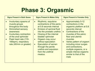 Phase 3: Orgasmic
Signs Present in Both Sexes Signs Present In Males Only Signs Present In Females Only
 Involuntary spasms of
muscle groups
throughout the body
 Diminished sensory
awareness
 Involuntary contraction
of the anal sphincter
 Peak heart rate (110-
180bpm), respiratory
rate (40/min or greater)
 Rhythmic, expulsive
contractions of the penis
at 0.8 seconds interval
 Emision of seminal fluid
into the prostatic urethra
 Closing of the internal
bladder sphincter
 Orgasm may occur
without ejaculation
 Ejaculation of semen
through the penile
urethra and expulsion
from the urethral
meatus.
 Approximately 5-12
contractions in the
orgasmic platform at 0.8
seconds interval
 Contractions of the
muscles of the pelvic
floor and uterine
muscles
 Varies pattern of orgasm
including minor surges
and contractions,
multiple orgasms, or a
simple intense orgasms
similar to that of the
male
 
