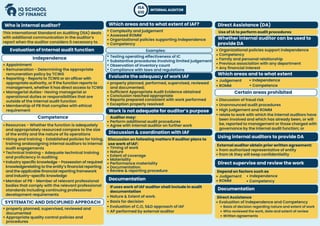 Developed audit chart for visual learners | PDF