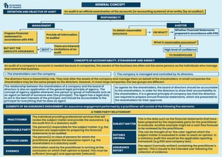 Developed audit chart for visual learners | PDF