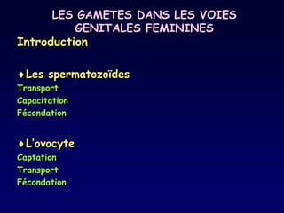 LES GAMETES DANS LES VOIES
GENITALES FEMININES
Introduction
Les spermatozoïdes
Transport
Capacitation
Fécondation
L’ovocyte
Captation
Transport
Fécondation
 