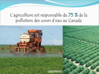 L’agriculture est responsable de 75 % de la
pollution des cours d’eau au Canada
 