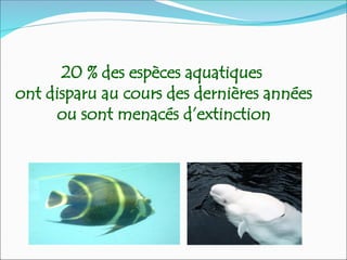 20 % des espèces aquatiques
ont disparu au cours des dernières années
ou sont menacés d’extinction
 