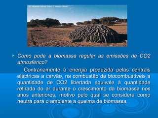  Como pode a biomassa regular as emissões de CO2Como pode a biomassa regular as emissões de CO2
atmosférico?atmosférico?
Contrariamente à energia produzida pelas centraisContrariamente à energia produzida pelas centrais
eléctricas a carvão, na combustão de biocombustíveis aeléctricas a carvão, na combustão de biocombustíveis a
quantidade de CO2 libertada equivale à quantidadequantidade de CO2 libertada equivale à quantidade
retirada do ar durante o crescimento da biomassa nosretirada do ar durante o crescimento da biomassa nos
anos anteriores, motivo pelo qual se considera comoanos anteriores, motivo pelo qual se considera como
neutra para o ambiente a queima de biomassa.neutra para o ambiente a queima de biomassa.
 