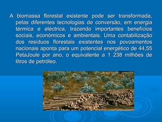 A biomassa florestal existente pode ser transformada,A biomassa florestal existente pode ser transformada,
pelas diferentes tecnologias de conversão, em energiapelas diferentes tecnologias de conversão, em energia
térmica e eléctrica, trazendo importantes benefíciostérmica e eléctrica, trazendo importantes benefícios
sociais, económicos e ambientais. Uma contabilizaçãosociais, económicos e ambientais. Uma contabilização
dos resíduos florestais existentes nos povoamentosdos resíduos florestais existentes nos povoamentos
nacionais aponta para um potencial energético de 44,55nacionais aponta para um potencial energético de 44,55
PetaJoule por ano, o equivalente a 1 238 milhões dePetaJoule por ano, o equivalente a 1 238 milhões de
litros de petróleo.litros de petróleo.
 