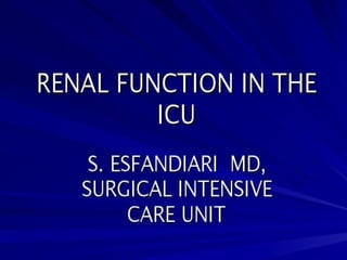 Renal Function in ICU