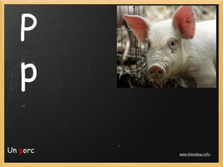 P
   p
Un porc   www.blondeau.info
 