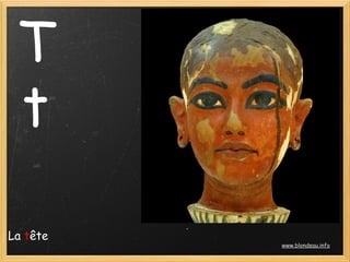 T
 t

La tête
          www.blondeau.info
 