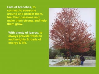 Lots of branches, to
connect to everyone
around and protect them,
fuel their passions and
make them strong, and help
them grow.

With plenty of leaves, to
always provide fresh air
and insights & loads of
energy & life.
 