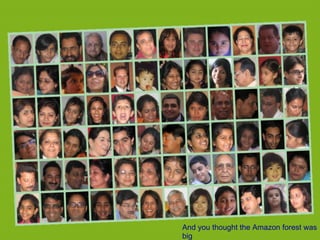 And you thought the Amazon forest was
big
 