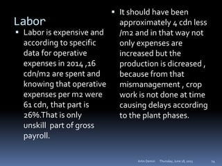 Labor
 Labor is expensive and
according to specific
data for operative
expenses in 2014 ,16
cdn/m2 are spent and
knowing that operative
expenses per m2 were
61 cdn, that part is
26%.That is only
unskill part of gross
payroll.
 It should have been
approximately 4 cdn less
/m2 and in that way not
only expenses are
increased but the
production is dicreased ,
because from that
mismanagement , crop
work is not done at time
causing delays according
to the plant phases.
Thursday, June 18, 2015Artin Demiri 14
 