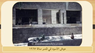 ‫صالة‬ ‫قصر‬ ‫في‬ ‫األسود‬ ‫حوش‬
1967
 
