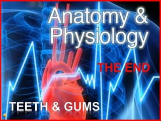 174-Anatomy-Teeth-and-Gums.ppt