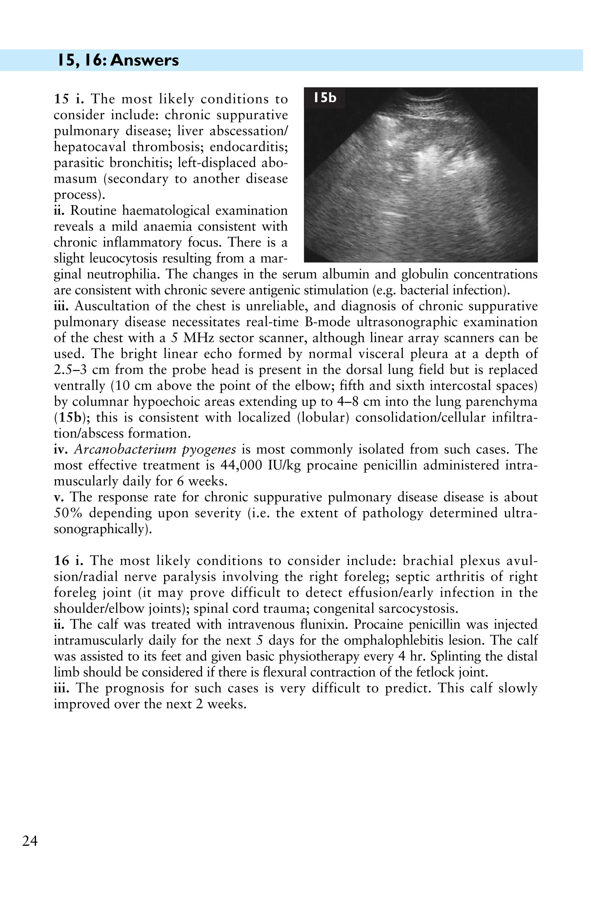 15, 16: Answers
24
16 i. The most likely conditions to consider include: brachial plexus avul-
sion/radial nerve paralysis involving the right foreleg; septic arthritis of right
foreleg joint (it may prove difficult to detect effusion/early infection in the
shoulder/elbow joints); spinal cord trauma; congenital sarcocystosis.
ii. The calf was treated with intravenous flunixin. Procaine penicillin was injected
intramuscularly daily for the next 5 days for the omphalophlebitis lesion. The calf
was assisted to its feet and given basic physiotherapy every 4 hr. Splinting the distal
limb should be considered if there is flexural contraction of the fetlock joint.
iii. The prognosis for such cases is very difficult to predict. This calf slowly
improved over the next 2 weeks.
15 i. The most likely conditions to
consider include: chronic suppurative
pulmonary disease; liver abscessation/
hepatocaval thrombosis; endocarditis;
parasitic bronchitis; left-displaced abo-
masum (secondary to another disease
process).
ii. Routine haematological examination
reveals a mild anaemia consistent with
chronic inflammatory focus. There is a
slight leucocytosis resulting from a mar-
ginal neutrophilia. The changes in the serum albumin and globulin concentrations
are consistent with chronic severe antigenic stimulation (e.g. bacterial infection).
iii. Auscultation of the chest is unreliable, and diagnosis of chronic suppurative
pulmonary disease necessitates real-time B-mode ultrasonographic examination
of the chest with a 5 MHz sector scanner, although linear array scanners can be
used. The bright linear echo formed by normal visceral pleura at a depth of
2.5–3 cm from the probe head is present in the dorsal lung field but is replaced
ventrally (10 cm above the point of the elbow; fifth and sixth intercostal spaces)
by columnar hypoechoic areas extending up to 4–8 cm into the lung parenchyma
(15b); this is consistent with localized (lobular) consolidation/cellular infiltra-
tion/abscess formation.
iv. Arcanobacterium pyogenes is most commonly isolated from such cases. The
most effective treatment is 44,000 IU/kg procaine penicillin administered intra-
muscularly daily for 6 weeks.
v. The response rate for chronic suppurative pulmonary disease disease is about
50% depending upon severity (i.e. the extent of pathology determined ultra-
sonographically).
15b
 