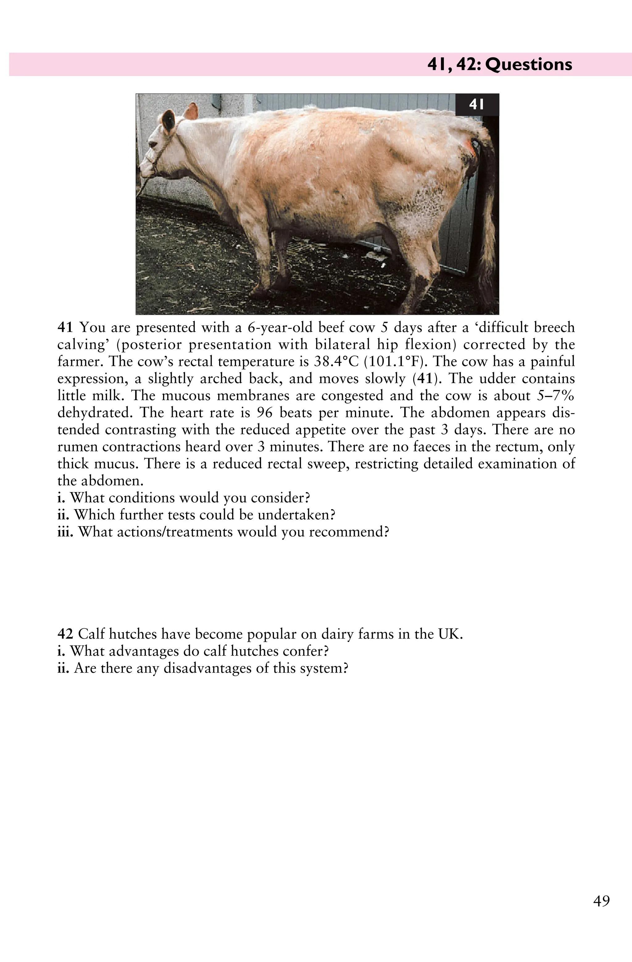 49
41 You are presented with a 6-year-old beef cow 5 days after a ‘difficult breech
calving’ (posterior presentation with bilateral hip flexion) corrected by the
farmer. The cow’s rectal temperature is 38.4°C (101.1°F). The cow has a painful
expression, a slightly arched back, and moves slowly (41). The udder contains
little milk. The mucous membranes are congested and the cow is about 5–7%
dehydrated. The heart rate is 96 beats per minute. The abdomen appears dis-
tended contrasting with the reduced appetite over the past 3 days. There are no
rumen contractions heard over 3 minutes. There are no faeces in the rectum, only
thick mucus. There is a reduced rectal sweep, restricting detailed examination of
the abdomen.
i. What conditions would you consider?
ii. Which further tests could be undertaken?
iii. What actions/treatments would you recommend?
42 Calf hutches have become popular on dairy farms in the UK.
i. What advantages do calf hutches confer?
ii. Are there any disadvantages of this system?
41
41, 42: Questions
 