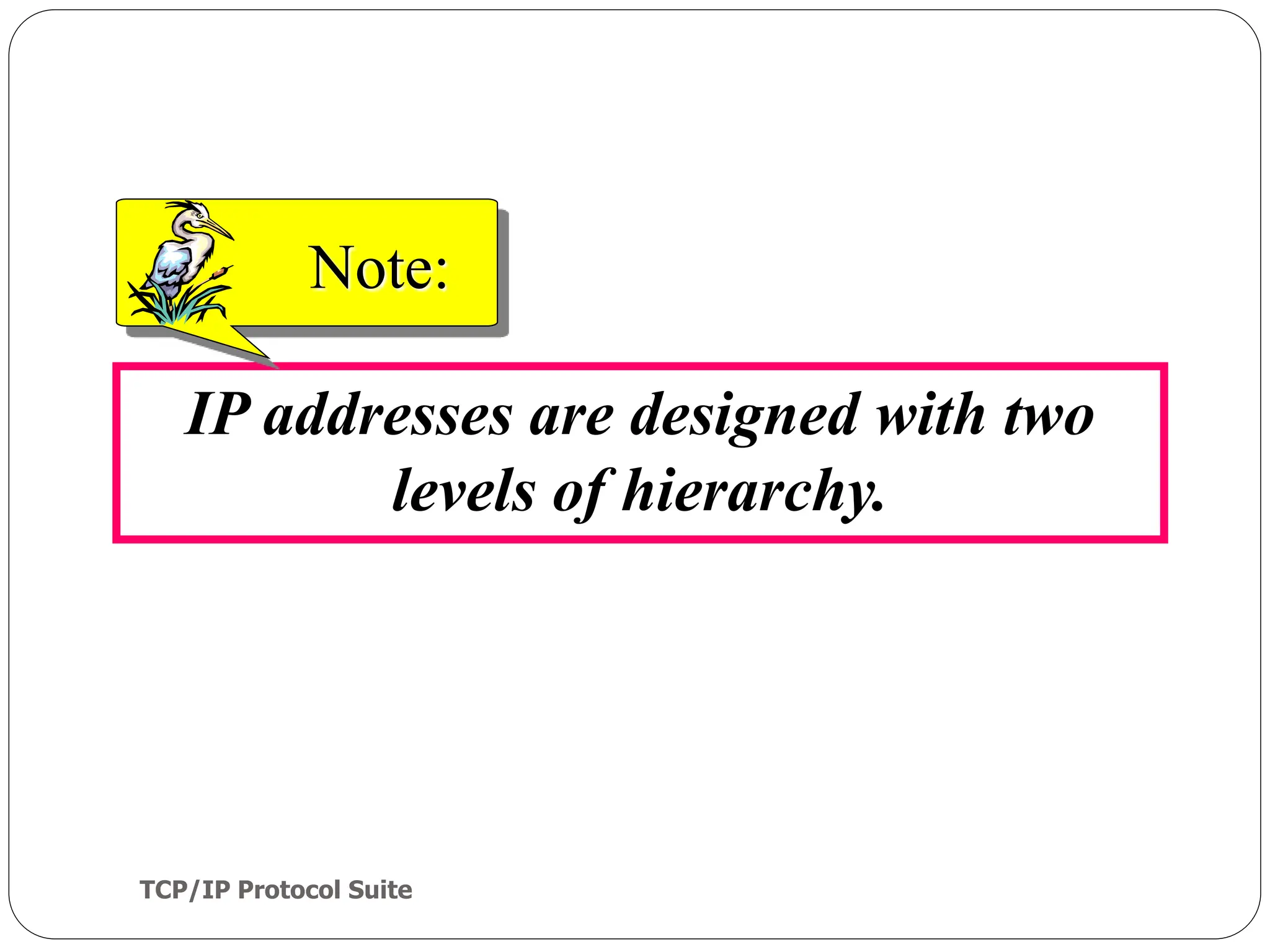 TCP/IP Protocol Suite
53
IP addresses are designed with two
levels of hierarchy.
Note:
 
