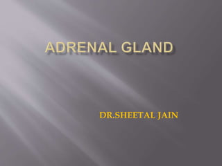 DR.SHEETAL JAIN
 