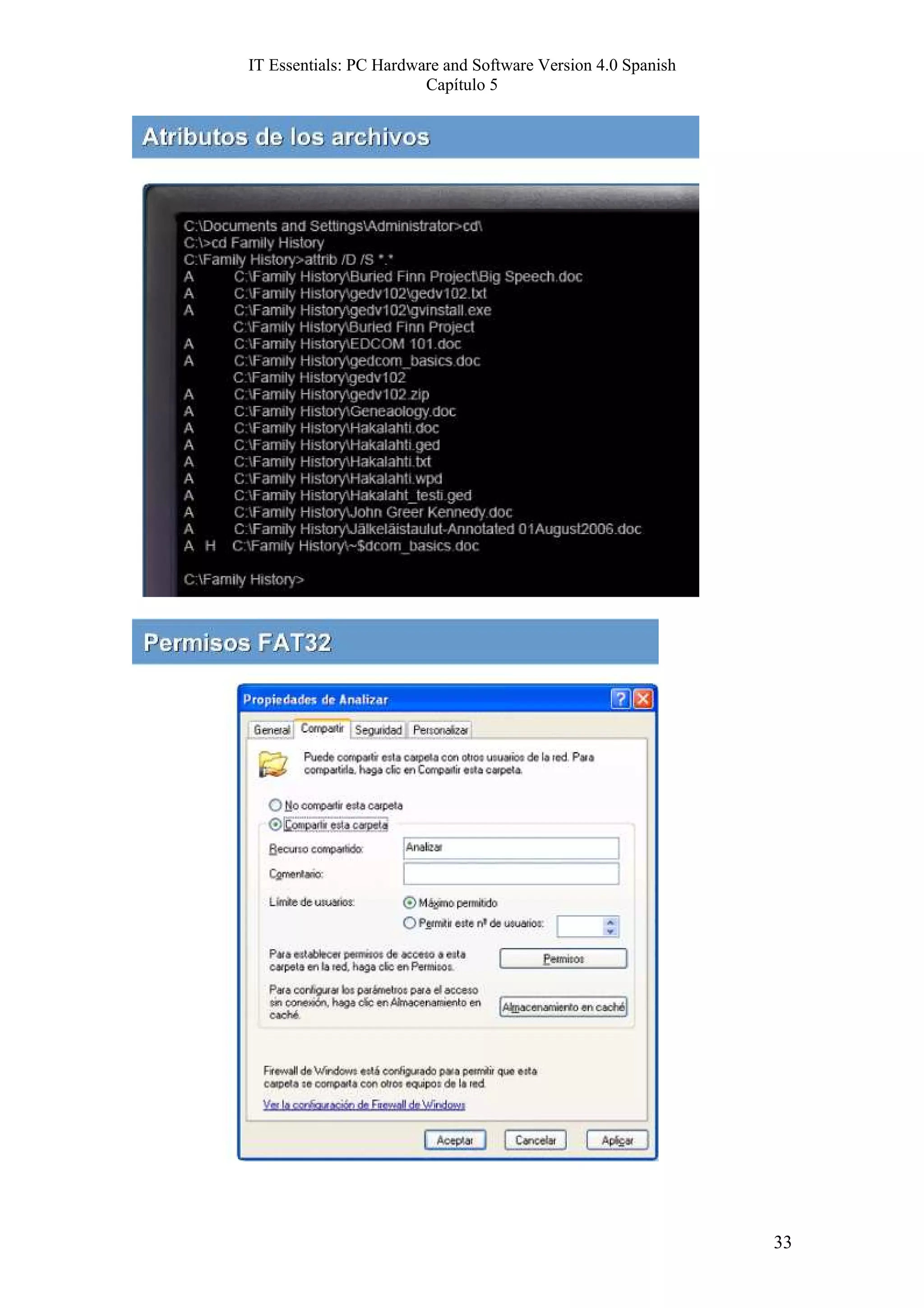 IT Essentials: PC Hardware and Software Version 4.0 Spanish
                        Capítulo 5




                                                              33
 