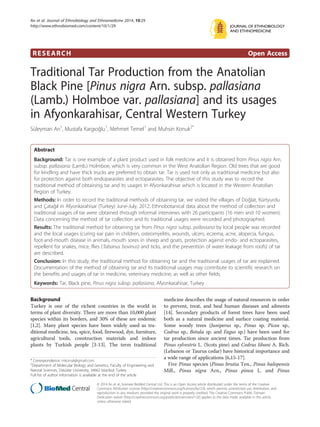RESEARCH Open Access
Traditional Tar Production from the Anatolian
Black Pine [Pinus nigra Arn. subsp. pallasiana
(Lamb.) Holmboe var. pallasiana] and its usages
in Afyonkarahisar, Central Western Turkey
Süleyman Arı1
, Mustafa Kargıoğlu1
, Mehmet Temel1
and Muhsin Konuk2*
Abstract
Background: Tar is one example of a plant product used in folk medicine and it is obtained from Pinus nigra Arn.
subsp. pallasiana (Lamb.) Holmboe, which is very common in the West Anatolian Region. Old trees that are good
for kindling and have thick trucks are preferred to obtain tar. Tar is used not only as traditional medicine but also
for protection against both endoparasites and ectoparasites. The objective of this study was to record the
traditional method of obtaining tar and its usages in Afyonkarahisar which is located in the Western Anatolian
Region of Turkey.
Methods: In order to record the traditional methods of obtaining tar, we visited the villages of Doğlat, Kürtyurdu
and Çatağıl in Afyonkarahisar (Turkey) June-July, 2012. Ethnobotanical data about the method of collection and
traditional usages of tar were obtained through informal interviews with 26 participants (16 men and 10 women).
Data concerning the method of tar collection and its traditional usages were recorded and photographed.
Results: The traditional method for obtaining tar from Pinus nigra subsp. pallasiana by local people was recorded
and the local usages (curing ear pain in children, osteomyelitis, wounds, ulcers, eczema, acne, alopecia, fungus,
foot-and-mouth disease in animals, mouth sores in sheep and goats, protection against endo- and ectoparasites,
repellent for snakes, mice, flies (Tabanus bovinus) and ticks, and the prevention of water leakage from roofs) of tar
are described.
Conclusion: In this study, the traditional method for obtaining tar and the traditional usages of tar are explained.
Documentation of the method of obtaining tar and its traditional usages may contribute to scientific research on
the benefits and usages of tar in medicine, veterinary medicine, as well as other fields.
Keywords: Tar, Black pine, Pinus nigra subsp. pallasiana, Afyonkarahisar, Turkey
Background
Turkey is one of the richest countries in the world in
terms of plant diversity. There are more than 10,000 plant
species within its borders, and 30% of these are endemic
[1,2]. Many plant species have been widely used as tra-
ditional medicine, tea, spice, food, firewood, dye, furniture,
agricultural tools, construction materials and indoor
plants by Turkish people [3-13]. The term traditional
medicine describes the usage of natural resources in order
to prevent, treat, and heal human diseases and ailments
[14]. Secondary products of forest trees have been used
both as a natural medicine and surface coating material.
Some woody trees (Juniperus sp., Pinus sp. Picea sp.,
Cedrus sp., Betula sp. and Fagus sp.) have been used for
tar production since ancient times. Tar production from
Pinus sylvestris L. (Scots pine) and Cedrus libani A. Rich.
(Lebanon or Taurus cedar) have historical importance and
a wide range of applications [6,15-17].
Five Pinus species (Pinus brutia Ten., Pinus halepensis
Mill., Pinus nigra Arn., Pinus pinea L. and Pinus
* Correspondence: mkonuk@gmail.com
2
Department of Molecular Biology and Genetics, Faculty of Engineering and
Natural Sciences, Üsküdar University, 34662 Istanbul, Turkey
Full list of author information is available at the end of the article
JOURNAL OF ETHNOBIOLOGY
AND ETHNOMEDICINE
© 2014 Arı et al.; licensee BioMed Central Ltd. This is an Open Access article distributed under the terms of the Creative
Commons Attribution License (http://creativecommons.org/licenses/by/2.0), which permits unrestricted use, distribution, and
reproduction in any medium, provided the original work is properly credited. The Creative Commons Public Domain
Dedication waiver (http://creativecommons.org/publicdomain/zero/1.0/) applies to the data made available in this article,
unless otherwise stated.
Arı et al. Journal of Ethnobiology and Ethnomedicine 2014, 10:29
http://www.ethnobiomed.com/content/10/1/29
 
