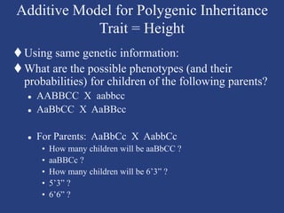 Additive Inheritance 17465299.ppt