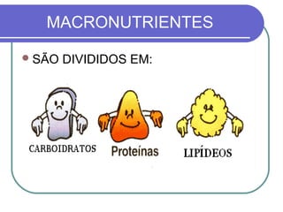 MACRONUTRIENTES
SÃO DIVIDIDOS EM:
 