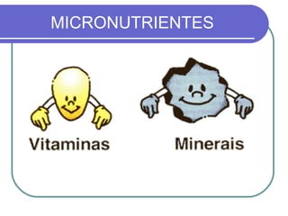 MICRONUTRIENTES
 