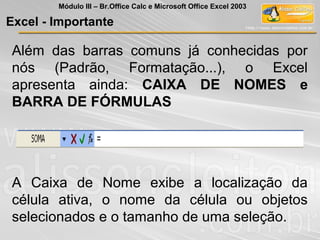 Além das barras comuns já conhecidas por
nós (Padrão, Formatação...), o Excel
apresenta ainda: CAIXA DE NOMES e
BARRA DE FÓRMULAS
A Caixa de Nome exibe a localização da
célula ativa, o nome da célula ou objetos
selecionados e o tamanho de uma seleção.
Excel - Importante
Módulo III – Br.Office Calc e Microsoft Office Excel 2003
 