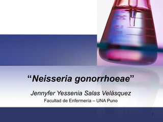 “Neisseria gonorrhoeae”
Jennyfer Yessenia Salas Velásquez
    Facultad de Enfermería – UNA Puno

                                        1
 