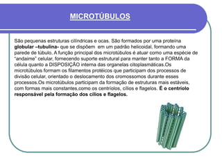 São pequenas estruturas cilíndricas e ocas. São formados por uma proteína
globular –tubulina- que se dispõem em um padrão helicoidal, formando uma
parede de túbulo. A função principal dos microtúbulos é atuar como uma espécie de
“andaime” celular, fornecendo suporte estrutural para manter tanto a FORMA da
célula quanto a DISPOSIÇÃO interna das organelas citoplasmáticas.Os
microtúbulos formam os filamentos protéicos que participam dos processos de
divisão celular, orientado o deslocamento dos cromossomos durante esses
processos.Os microtúbulos participam da formação de estruturas mais estáveis,
com formas mais constantes,como os centríolos, cílios e flagelos. É o centríolo
responsável pela formação dos cílios e flagelos.
MICROTÚBULOS
 