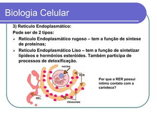 Biologia Celular
3) Retículo Endoplasmático:
Pode ser de 2 tipos:
 Retículo Endoplasmático rugoso – tem a função de síntese
de proteínas;
 Retículo Endoplasmático Liso – tem a função de sintetizar
lipídeos e hormônios esteróides. Também participa de
processos de detoxificação.
Por que o RER possui
íntimo contato com a
carioteca?
 
