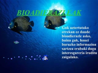 BIOADIERAZLEAK Guk aztertutako errekan ez daude bioadierazle asko, baina guk, hauei buruzko informazioa sartzea erabaki dugu interesgareria iruditu zaigulako. 